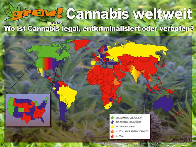 Cannabis Weltweit Wo Ist Cannabis Legal Entkriminalisiert Oder Verboten